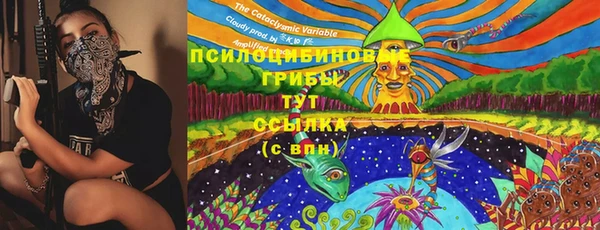 трава Инта