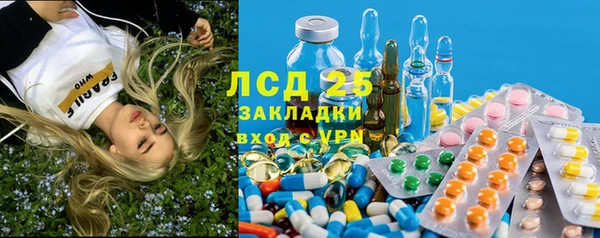 трава Инта