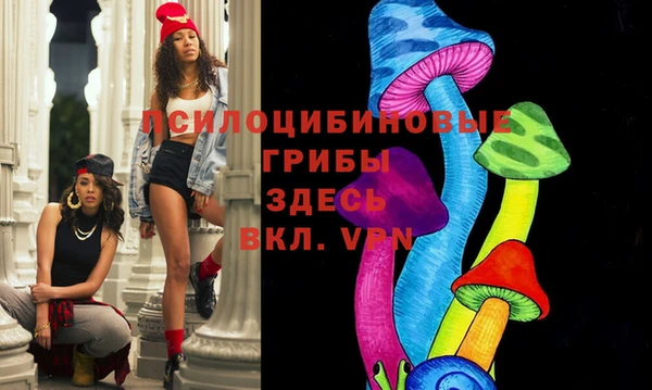 трава Инта