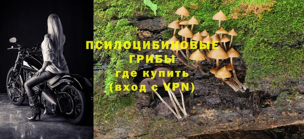 героин Инсар