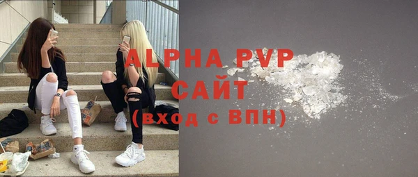 трава Инта