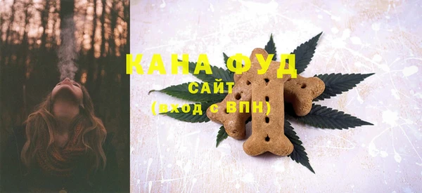 трава Инта