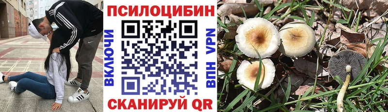 Купить  Краснокамск  Галлюциногенные грибы Magic Shrooms 